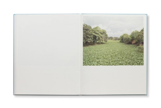 Buscando a Bolivar | Pietro Paolini | Breadfield Press