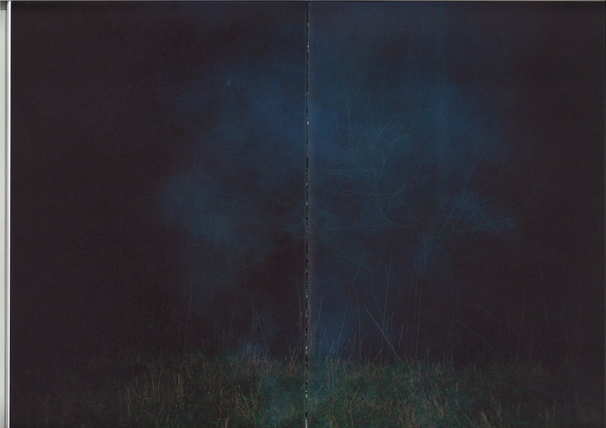 The Picture of The Yellow Sun | Lisbeth Johansen | Breadfield Press