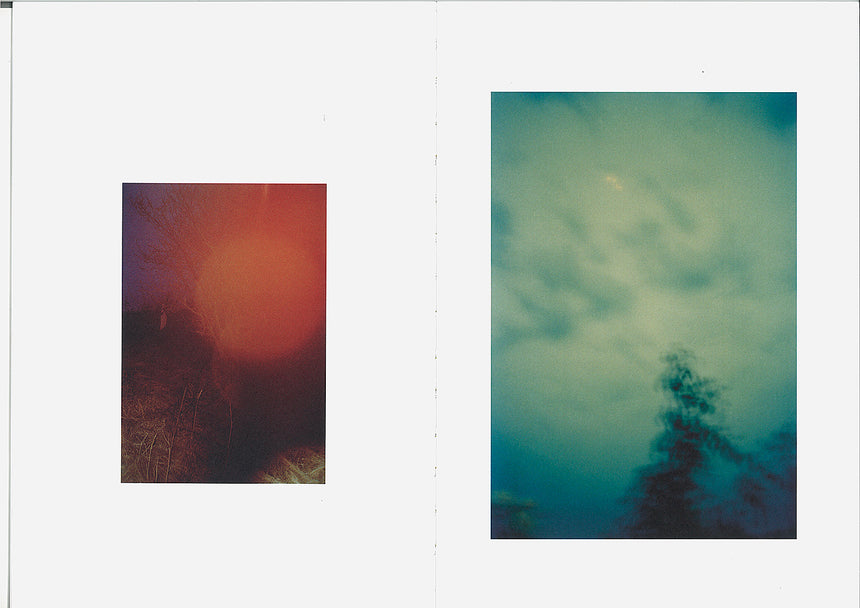 The Picture of The Yellow Sun | Lisbeth Johansen | Breadfield Press