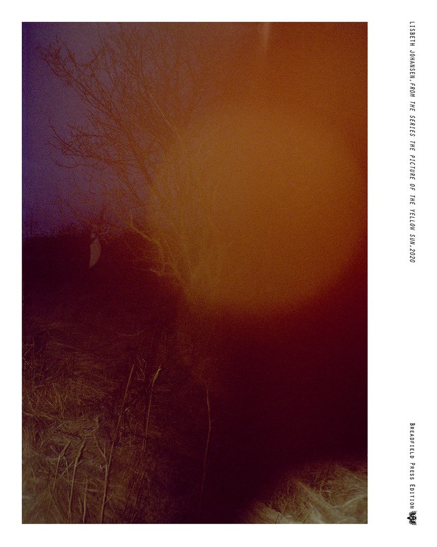 Poster | Lisbeth Johansen | From The Series Picture of The Yellow Sun, 2020