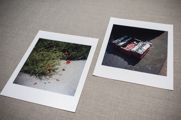 Photograph | Stephen Gill | Flowers & Tool Box – Warming Down